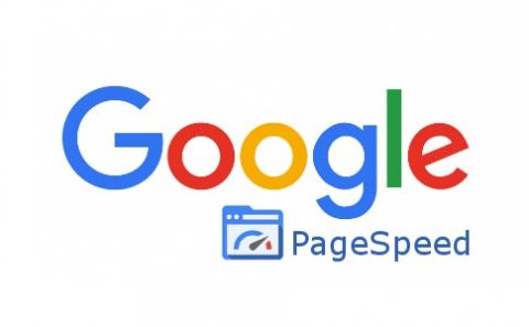 google pagespeed insight page score