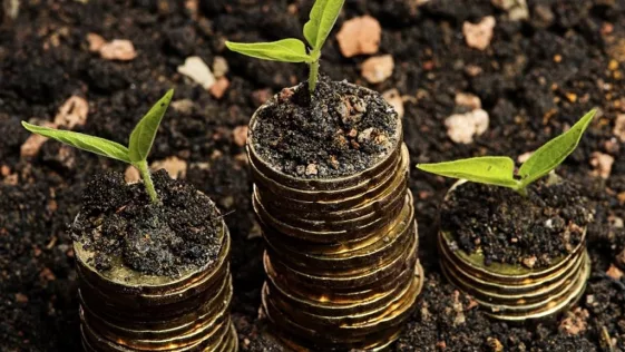 what to do after a seed funding for business