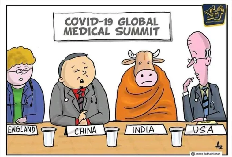 India Plans To Treat Coronavirus With Cow Dung and Cow Urine