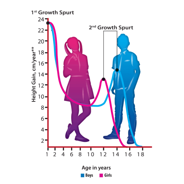 graph clipart growth spurt how to increase height grow tall naturally in weeks height increaseing tips workouts diets to grow taller