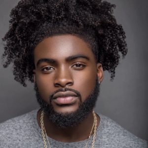 verdi beard styles for black men