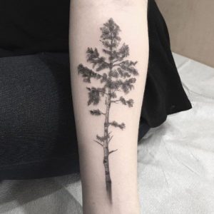 minimal aspen tree tattoo designs ideas