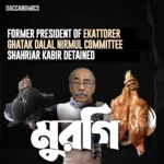 former president of Ekattorer Ghatak Dalal Nirmul Committee Shahriar Kabir detained